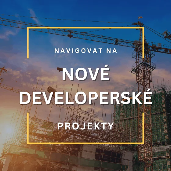 Development projects category