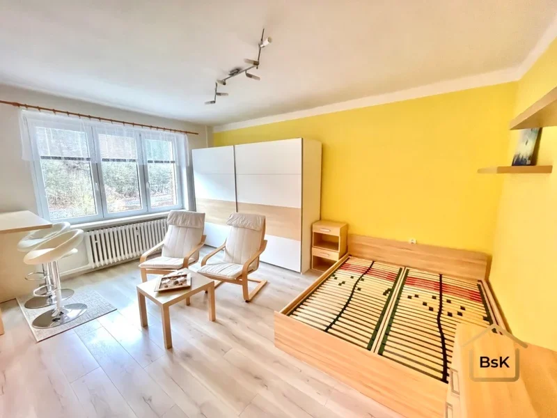 Pronájem bytu 1+kk 39 m²