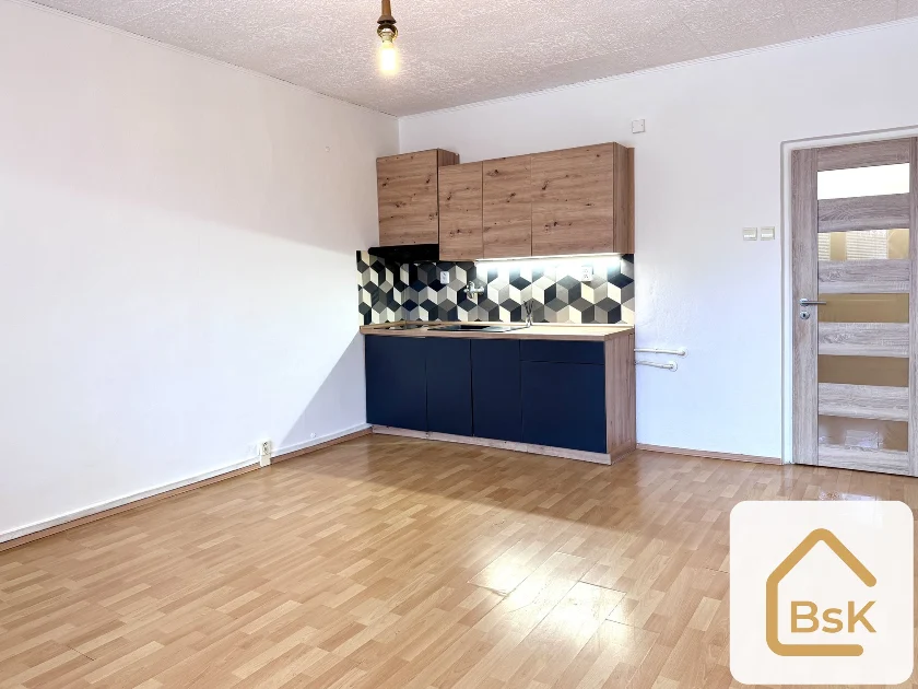 Pronájem bytu 1+kk 30 m², Liberec XIV-Ruprechtice