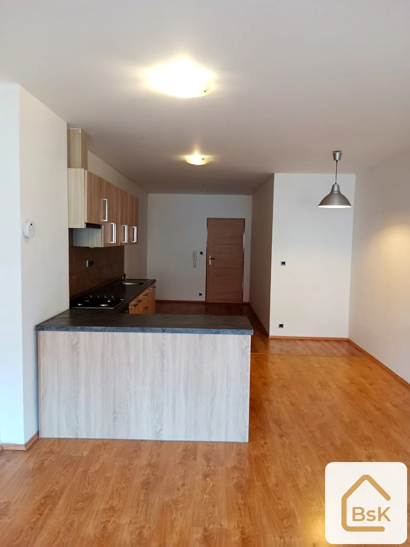 Pronájem bytu 2+kk 74 m², Liberec IV-Perštýn