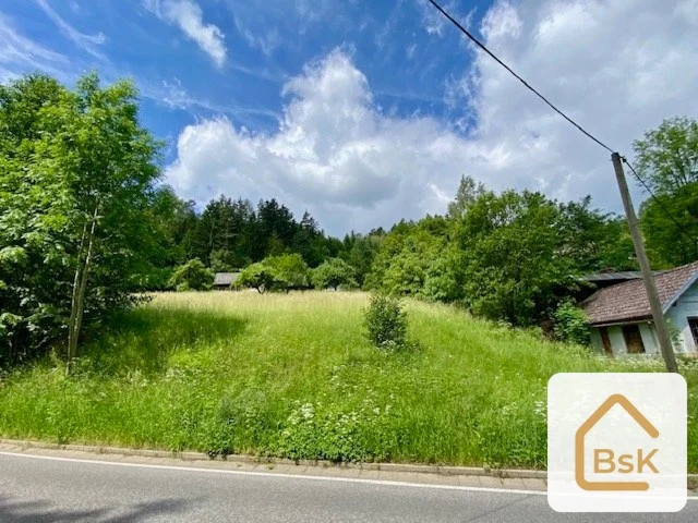 Prodej pozemku k výstavbě RD, 2 434 m², Český ráj - Koberovy