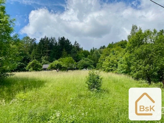 Prodej pozemku k výstavbě RD, 2 434 m², Český ráj - Koberovy