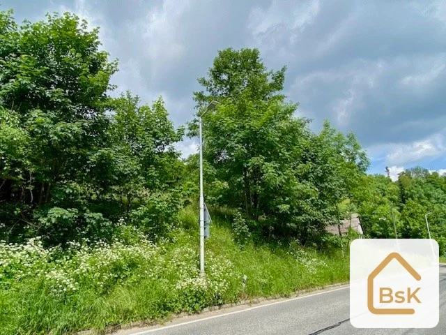 Prodej pozemku k výstavbě RD, 2 434 m², Český ráj - Koberovy