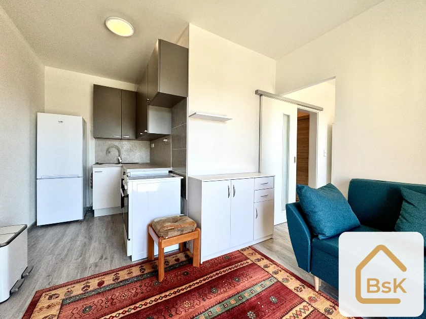Pronájem vybaveného bytu 2+kk, 27 m², Český Brod