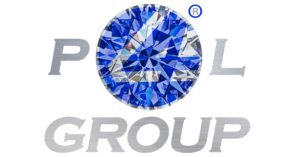 P4LGroup logo partner